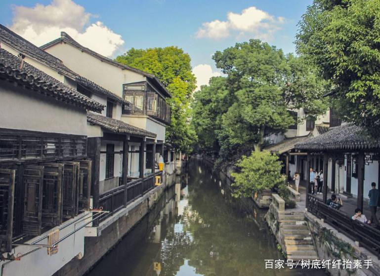 红萝卜怎么做好吃游戏画面